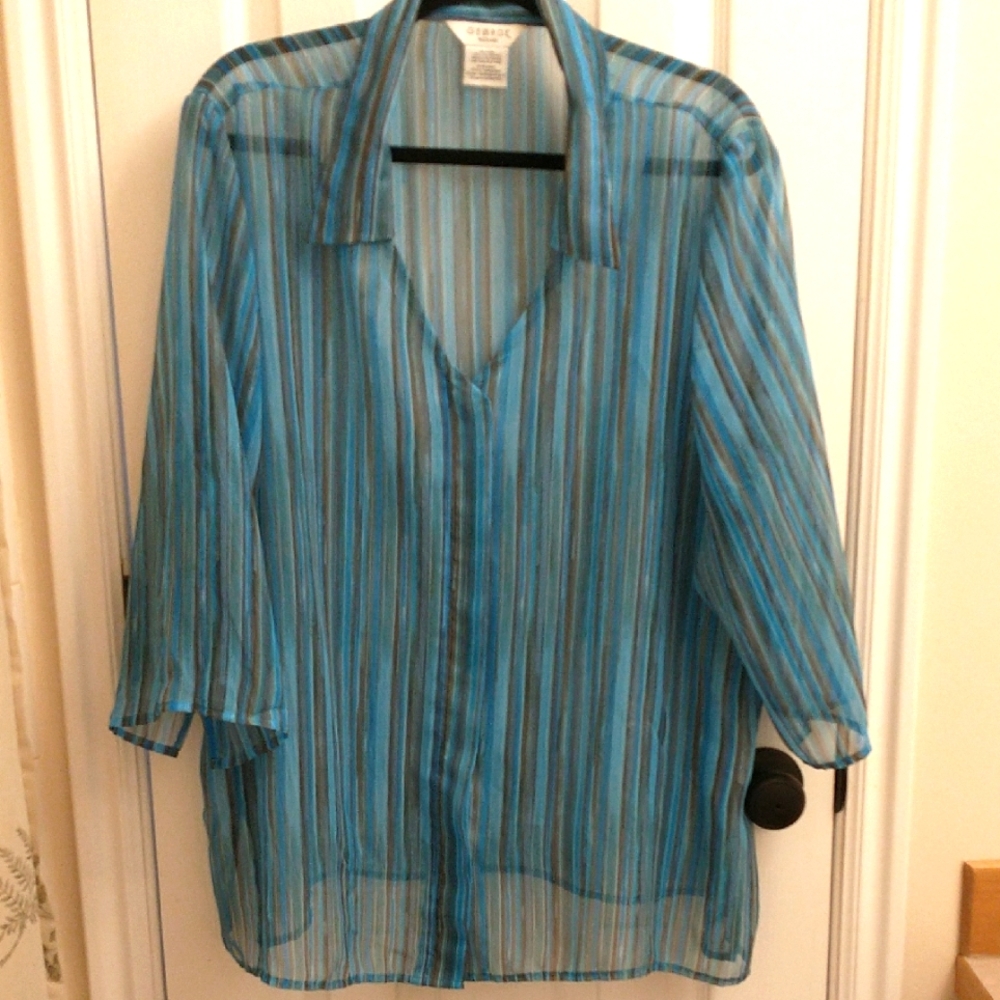 Women's Shear Blouse Plus Size